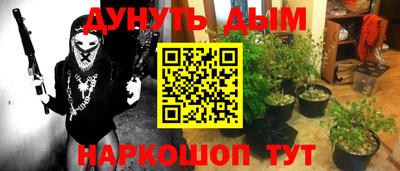 индика Коммунар