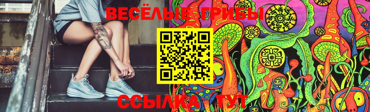 Галлюциногенные грибы GOLDEN TEACHER Кольчугино